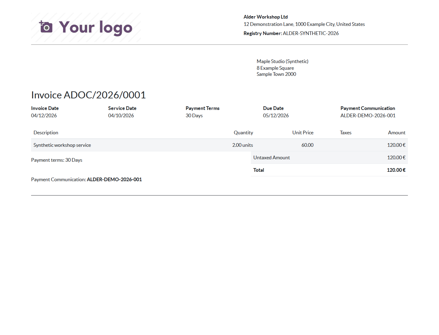 Actual PMIS invoice preview with commercial billing address and EUR 120 total